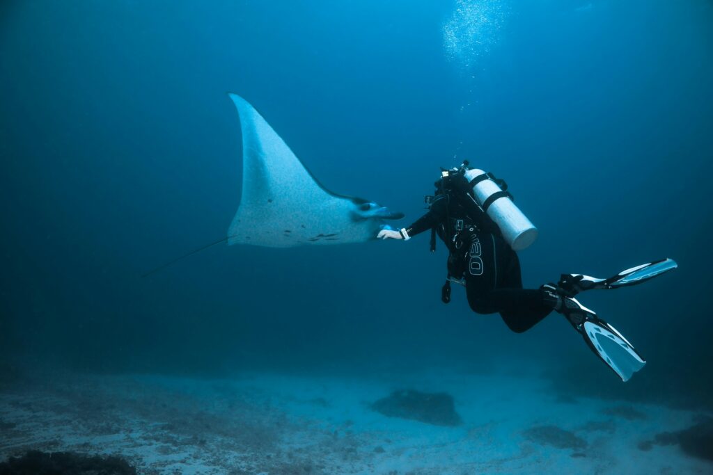 Scuba diver encountering a manta ray in the deep waters of the Maldives.