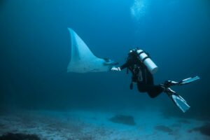 Scuba diver encountering a manta ray in the deep waters of the Maldives.